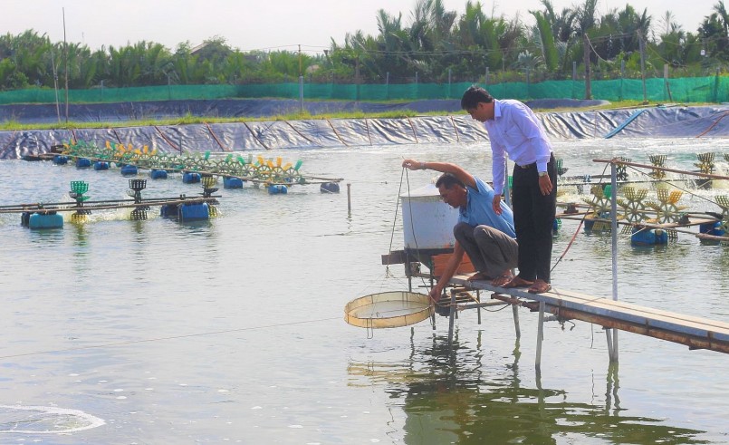 người nuôi tôm và sản xuất tôm giống không hy vọng sẽ tiếp cận được nguồn vốn ưu đãi. người nuôi tôm và sản xuất tôm giống không hy vọng sẽ tiếp cận được nguồn vốn ưu đãi.
