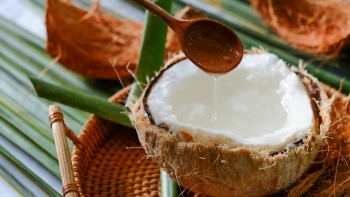 Loại dừa trái nhỏ ruột đặc bất ngờ giá tăng vọt trong ngày hè, mỗi quả 200 nghìn đồng vẫn cháy hàng