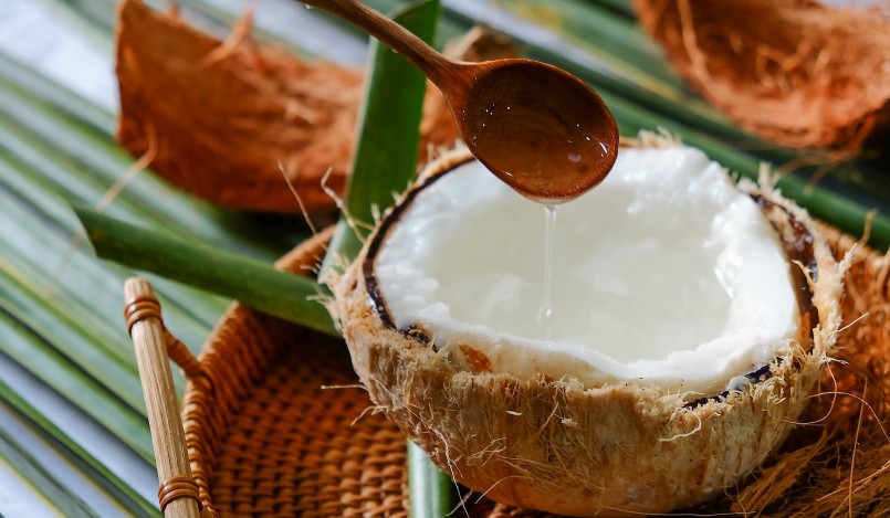 Dừa sáp là đặc sản của Trà Vinh không nơi nào sánh được.