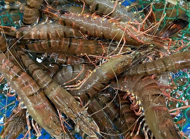 Thời gian gần đây giá tôm, cua, ghẹ bất ngờ tăng vọt. Thời gian gần đây giá tôm, cua, ghẹ bất ngờ tăng vọt.