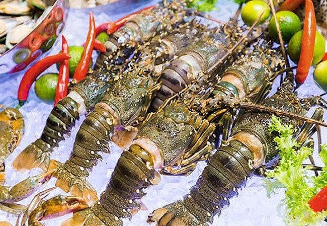 Giá hải sản tăng cao nên khách đến nhà hàng cũng vắng hơn. Giá hải sản tăng cao nên khách đến nhà hàng cũng vắng hơn.