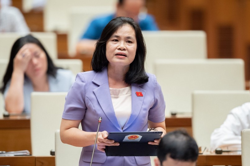 ại biểu Nguyễn Thị Hồng Hạnh – Đoàn ĐBQH TP.Hồ Chí Minh