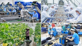 Thủ tướng chỉ đạo quyết liệt tháo gỡ khó khăn cho sản xuất, kinh doanh