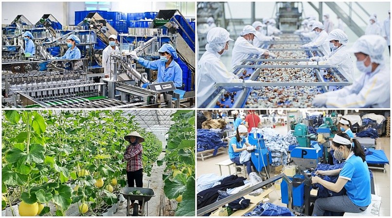 Thủ tướng yêu cầu các Bộ ngành, địa phương thực hiện quyết liệt, hiệu quả các nhiệm vụ, giải pháp tháo gỡ khó khăn cho sản xuất, kinh doanh của người dân, doanh nghiệp.