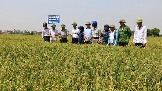 TP Hưng Yên tổ chức Đại hội đại biểu Hội Nông dân lần thứ X