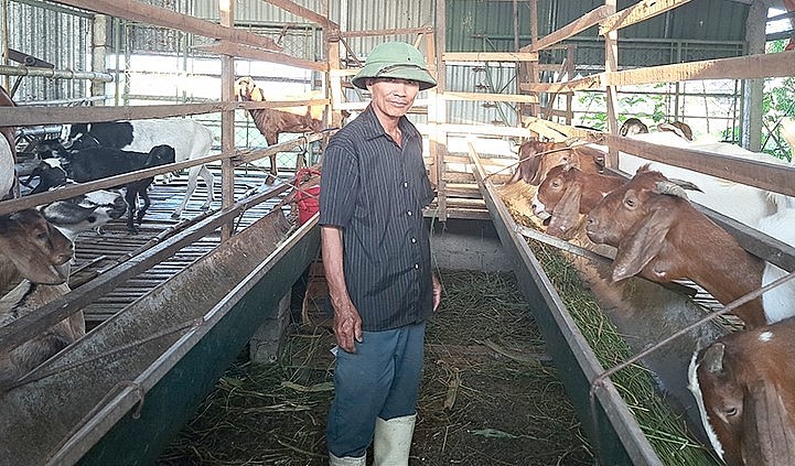 Ông Hùng quyết tâm tạo lập cơ nghiệp từ nuôi dê.