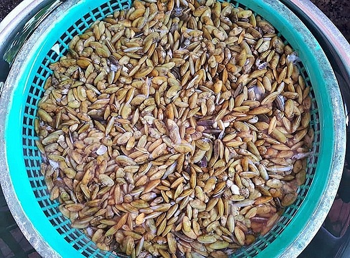 Don có ở hai con sông lớn của Quảng Ngãi là sông Trà và sông Vệ