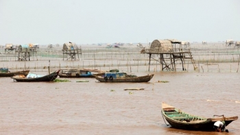 Kinh nghiệm du lịch vườn Quốc gia Xuân Thuỷ từ A đến Z