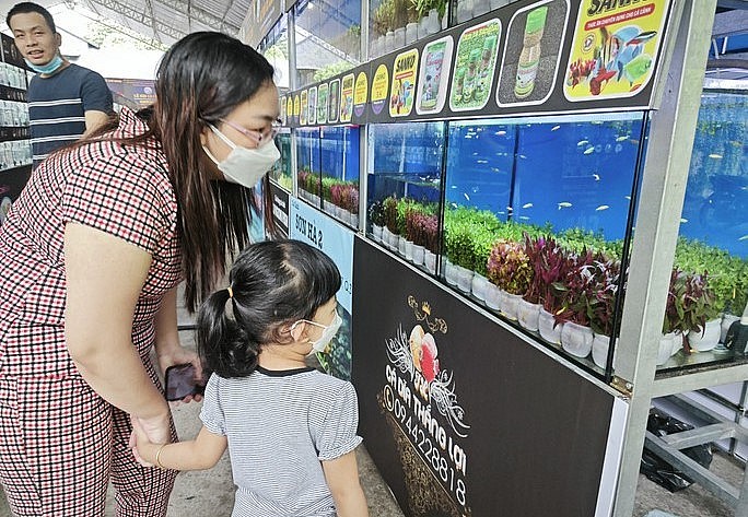 Nhiều người tỏ ra thích thú với những giống cá cảnh, bể thủy sinh độc lạ. 