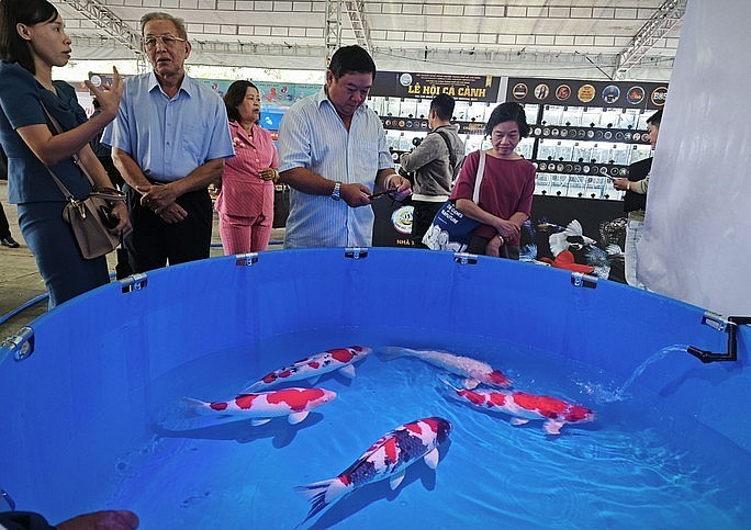 Cá cảnh là 1 trong cây trồng, vật nuôi chủ lực của TP.HCM.