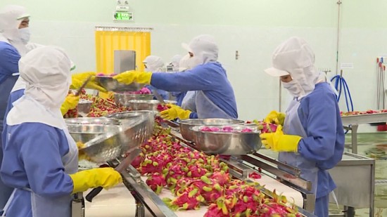 Xuất khẩu rau quả trên đã tăng trưởng