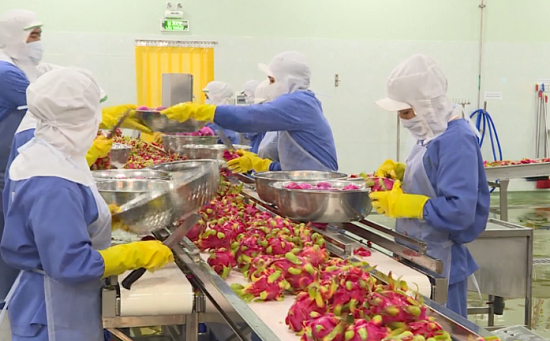 Xuất khẩu rau quả trên đã tăng trưởng