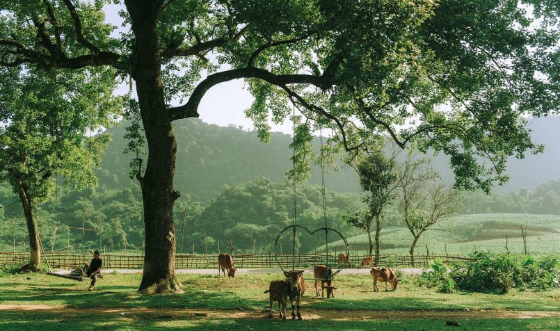 Vì Bãi Bùi là địa điểm du lịch mới nổi nên chưa có nhiều dịch vụ, còn khá hoang sơ. 
