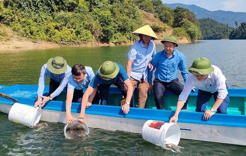 Cơ quan chuyên môn thả giống cá thát lát nuôi trên lòng hồ Thủy điện Hủa Na. 