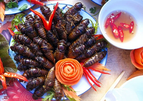 Thứ trông rất ghê rợn trở thành đặc sản nổi tiếng, ăn một lần nhớ cả đời không quên