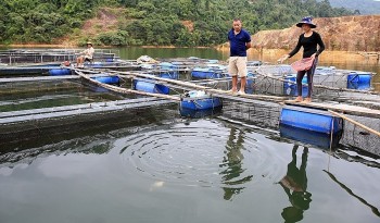 Không tốn 1m2 ao, không lo ô nhiễm nguồn nước mỗi năm bỏ túi hàng tỷ đồng từ nuôi cá