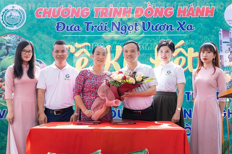 Bắc Giang: Tổ chức chương trình Đưa trái ngọt vươn xa và tour du lịch miệt vườn Lục Ngạn