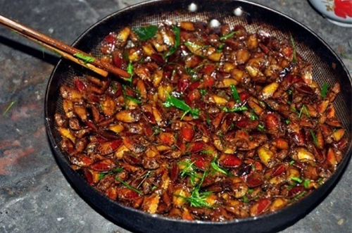 Những món đặc sản “nổi da gà” nhất xứ Tây Bắc, đến hội sành ăn cũng phải khóc thét vì sợ!