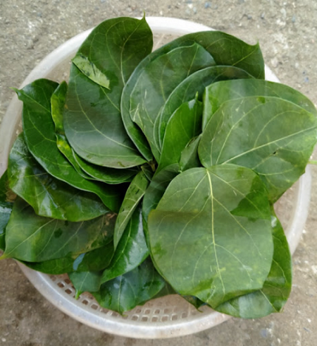 Những món đặc sản “nổi da gà” nhất xứ Tây Bắc, đến hội sành ăn cũng phải khóc thét vì sợ!