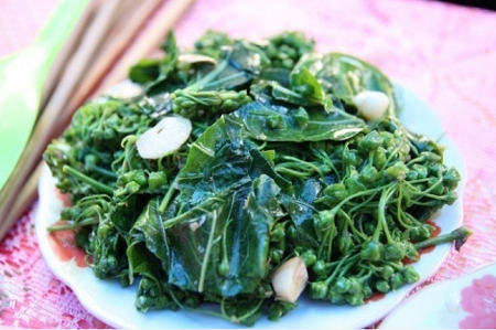 Những món đặc sản “nổi da gà” nhất xứ Tây Bắc, đến hội sành ăn cũng phải khóc thét vì sợ!