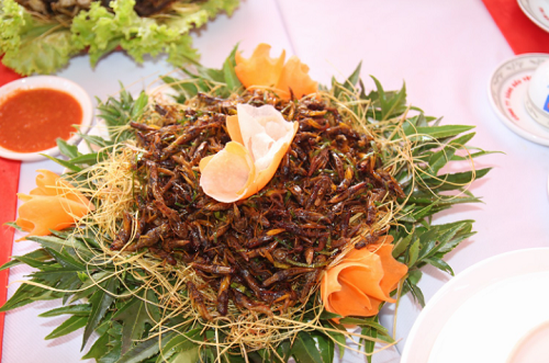 Những món đặc sản “nổi da gà” nhất xứ Tây Bắc, đến hội sành ăn cũng phải khóc thét vì sợ!