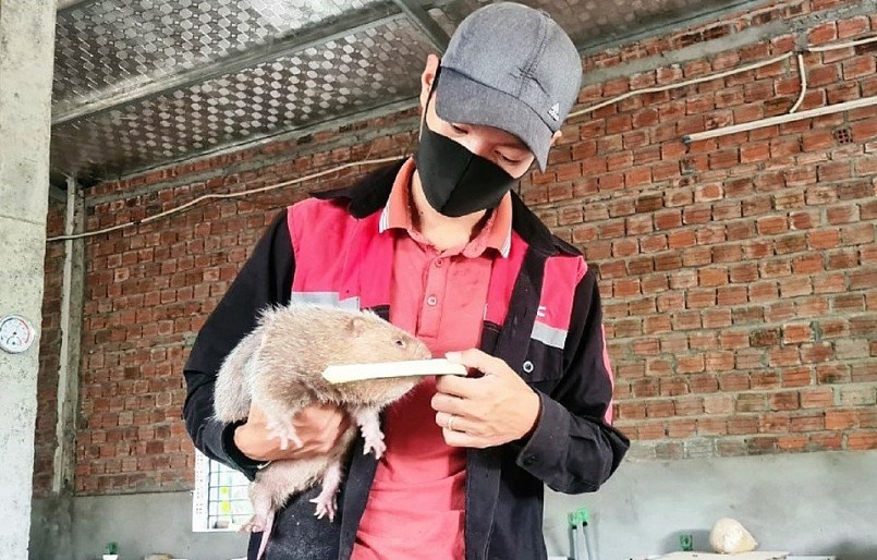 Trung bình mỗi năm, sau khi trừ chi phí, anh thu về hơn 200 triệu đồng. Trung bình mỗi năm, sau khi trừ chi phí, anh thu về hơn 200 triệu đồng.