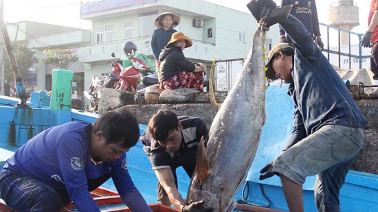 EC lùi thời hạn thanh tra chống khai thác IUU tại Việt Nam