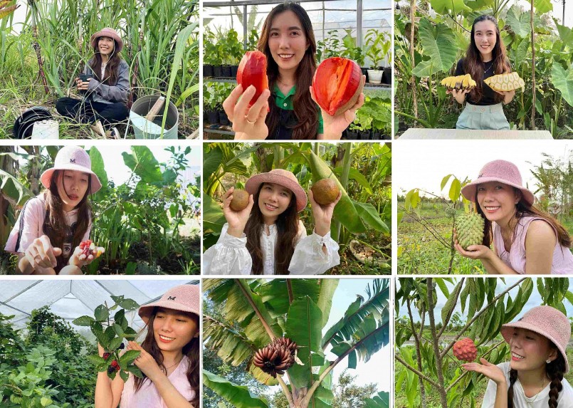 Các cung bậc cảm xúc của 9X bên thành quả từ khu vườn quả ngoại.