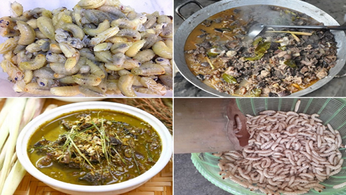 Những món đặc sản “nổi da gà” nhất xứ Tây Bắc, đến hội sành ăn cũng phải khóc thét vì sợ!