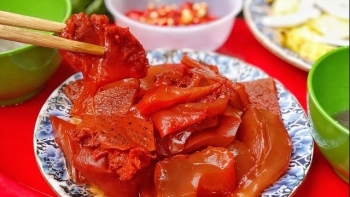 "Sứa đỏ" - món ăn hút khách và những điều lưu ý cần biết khi ăn để tránh bị ngộ độc