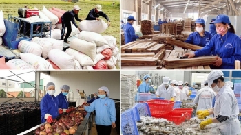 Xuất khẩu nông, lâm, thủy sản đạt 20,26 tỷ USD trong 5 tháng