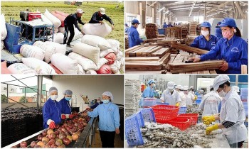 Xuất khẩu nông, lâm, thủy sản đạt 20,26 tỷ USD trong 5 tháng