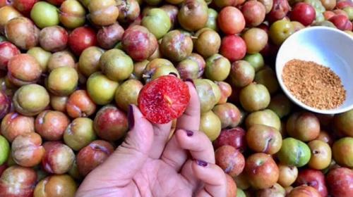 Nhiều người năm nào cũng say mê ăn mận nhưng ít biết các tác dụng đặc biệt này