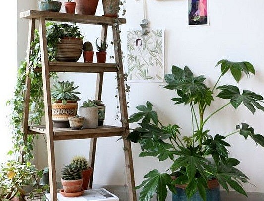 10 biện pháp làm mát phòng không cần tới điều hòa cho sinh viên