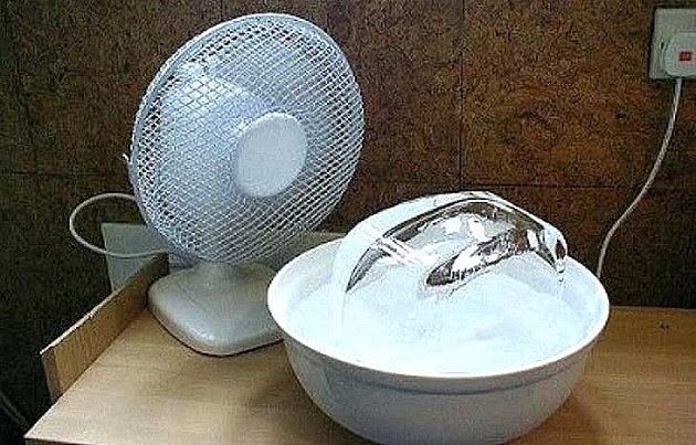 10 biện pháp làm mát phòng không cần tới điều hòa cho sinh viên