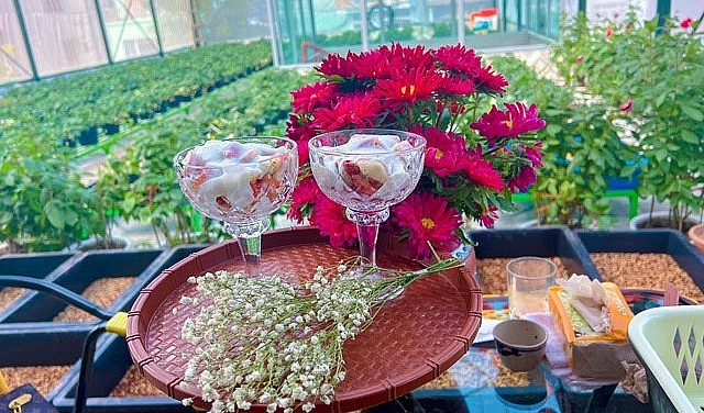 Khu vườn là nơi giải tỏa mọi áp lực công việc, căng thẳng trong cuộc sống.