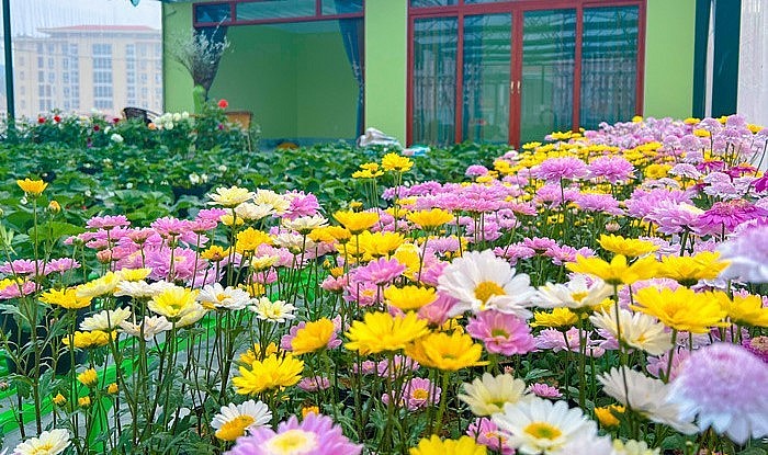 Trong khu vườn cũng không thiếu những luống hoa.