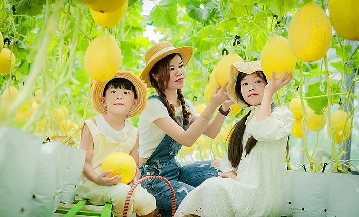 Khu vương trên mây là nơi gắn kết yêu thương.