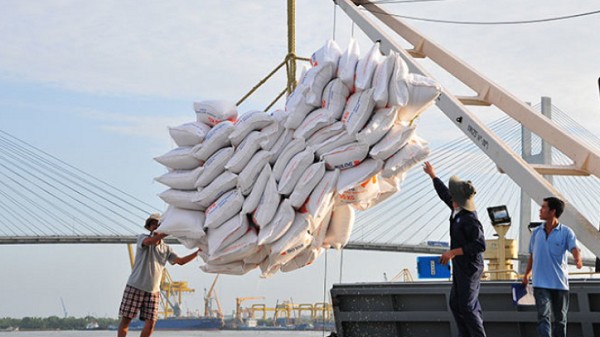 Cơ hội cho hạt gạo Việt chinh phục thị trường châu Phi
