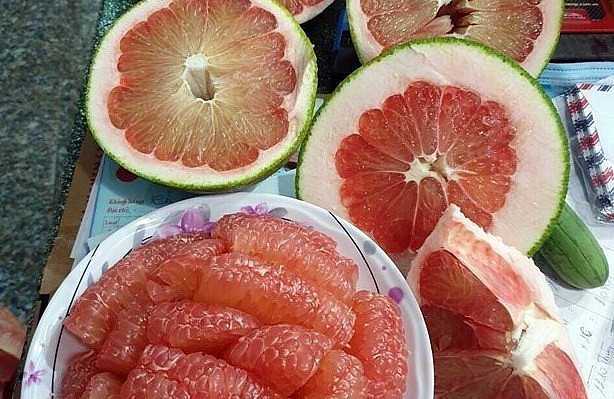 bưởi da xanh và đây được xem là loại cây trồng chủ lực của địa phương bưởi da xanh và đây được xem là loại cây trồng chủ lực của địa phương