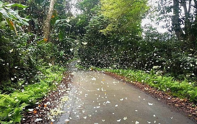 Top 5 địa điểm cắm trại thơ mộng nhất Ninh Bình, hè này chắc chắn phải đến