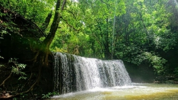 Kinh nghiệm khám phá vườn Quốc gia Bù Gia Mập từ A đến Z