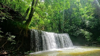 Kinh nghiệm khám phá vườn Quốc gia Bù Gia Mập từ A đến Z