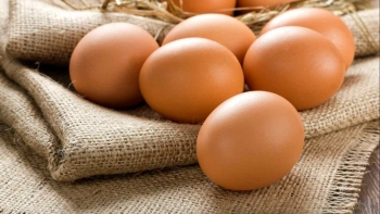 Những loại thực phẩm làm tăng khả năng tập trung