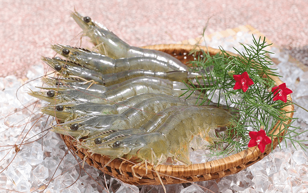 Nhu cầu nhập khẩu tôm chân trắng lột vỏ bỏ đầu tại EU tăng Nhu cầu nhập khẩu tôm chân trắng lột vỏ bỏ đầu tại EU tăng