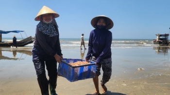 Ngư dân Thanh Hóa lao ra biển mưu sinh dưới trời nắng như "đổ lửa"