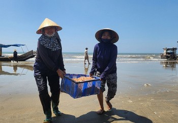 Ngư dân Thanh Hóa lao ra biển mưu sinh dưới trời nắng như "đổ lửa"