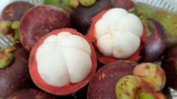 Hạt măng cụt có ăn được không?