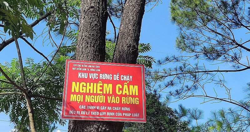 Hệ thống biển cảnh báo nghiêm cấm các hành vi gây ra cháy rừng được lắp đặt ở nhiều nơi