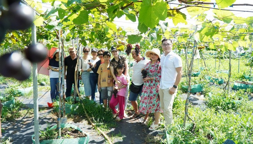 Ông Huy (thứ 3 từ phải qua) hướng dẫn khách thăm vườn nho kẹo và chụp ảnh lưu niệm. Ông Huy (thứ 3 từ phải qua) hướng dẫn khách thăm vườn nho kẹo và chụp ảnh lưu niệm.